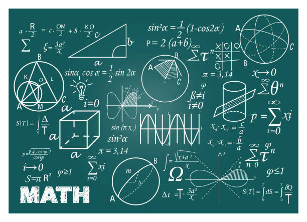 tipos de vector